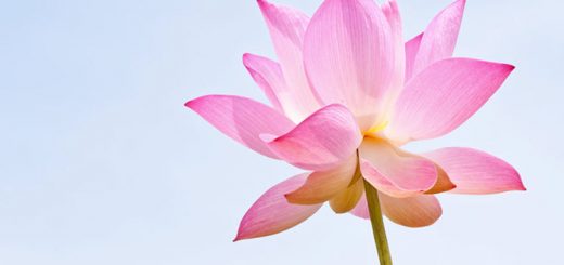 Seven Must Read Books on Positive Energy