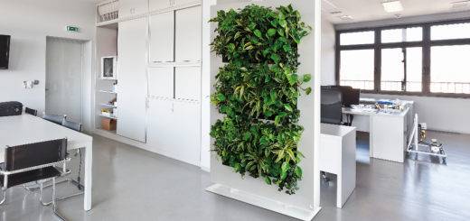 Greenery in Home Decor