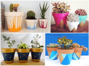 How to Pep up your Terracotta Pots - Planters