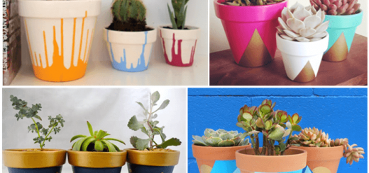 How to Pep up your Terracotta Pots - Planters