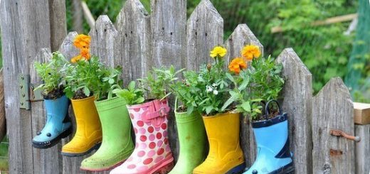 Unique Ideas to make your own UPCYCLED PLANTER