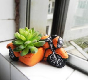 Succulent Planter Pots