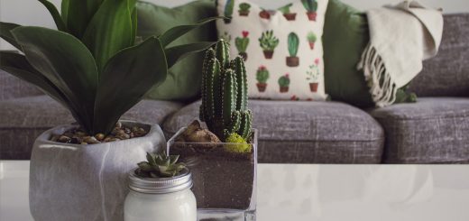 Green Top Up To Tables! Inviting Green Decors