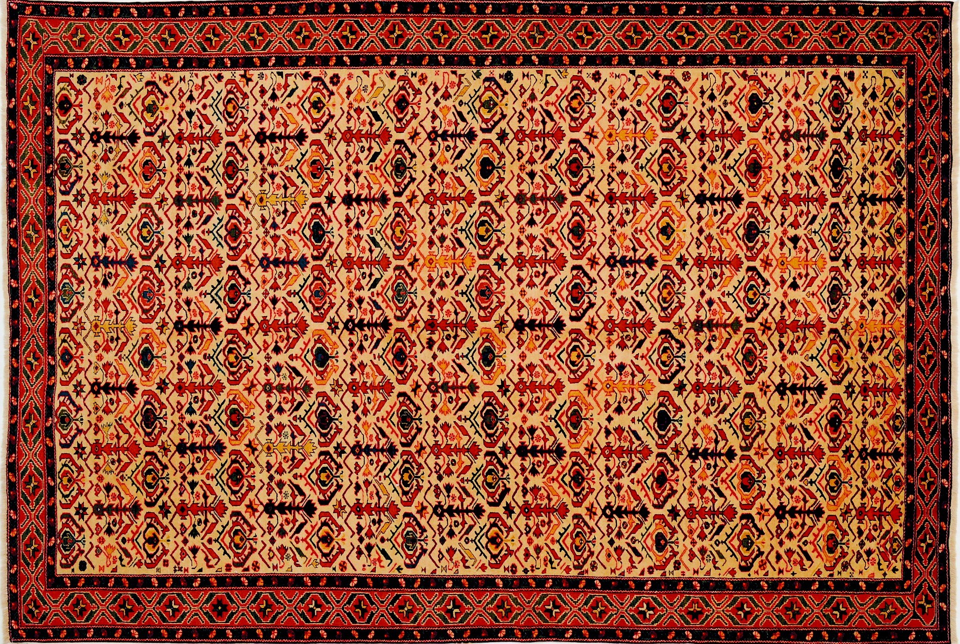 Top 5 Reasons to Get a Hand-Knotted Rug for Your Home – Sevenedges