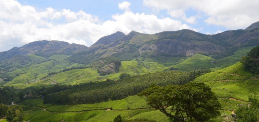 Enjoy the Beautiful Landscape of Wayanad from Lakkidi View Point