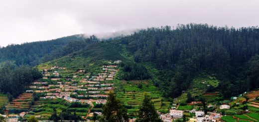 4 Reasons Why Monsoon is the Best Time to Explore Ooty with Family