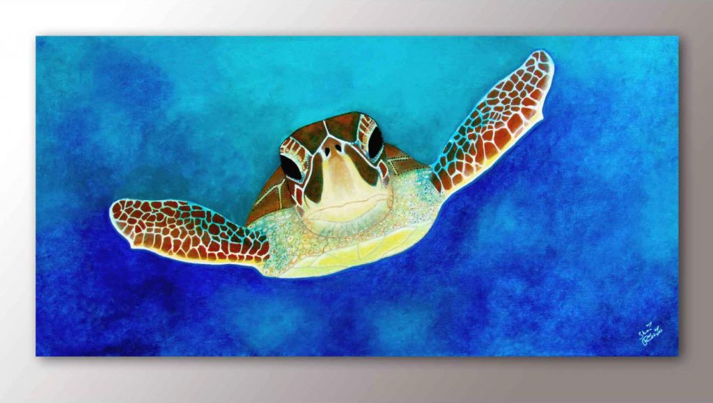 Turtle Home Décor