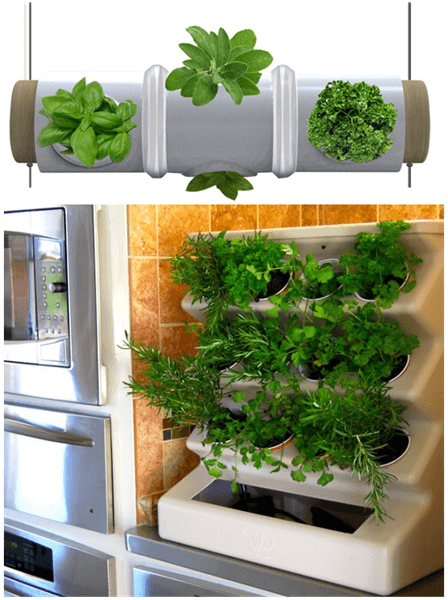 Get ready to Listen the Melody of Plants at Home - Go Green
