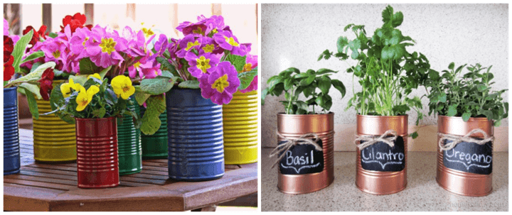 Upcycled Plant Pot Ideas