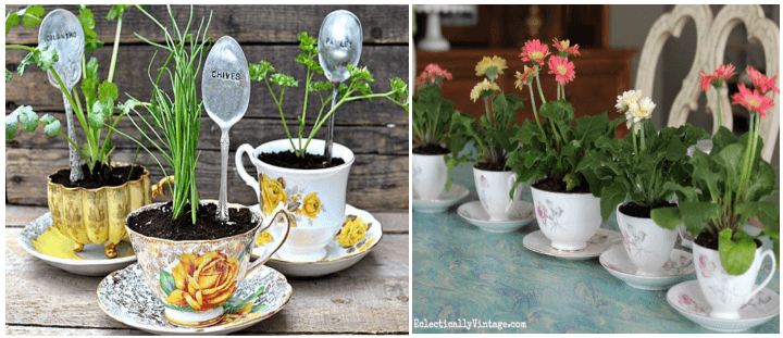 Upcycled Plant Pot Ideas