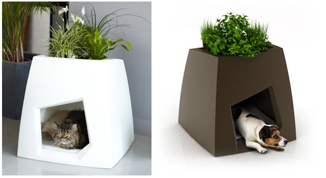 Pet Furniture