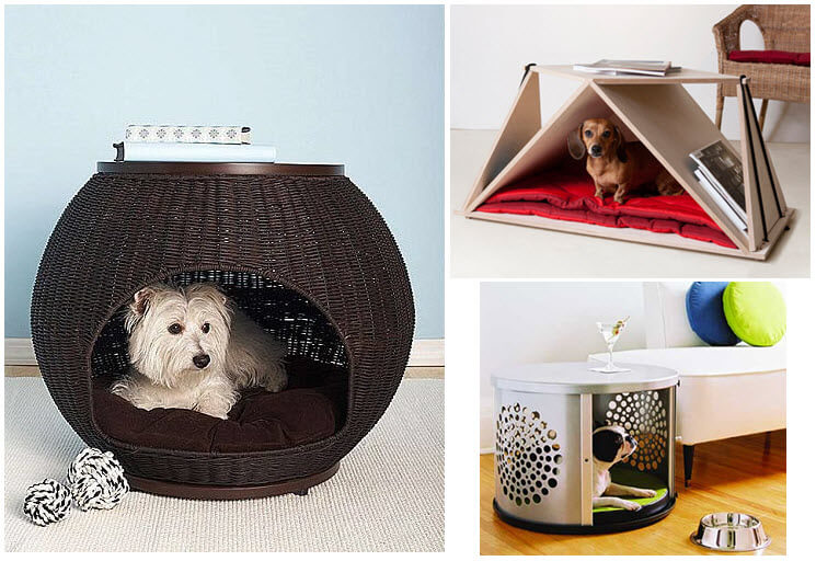 Pet Furniture