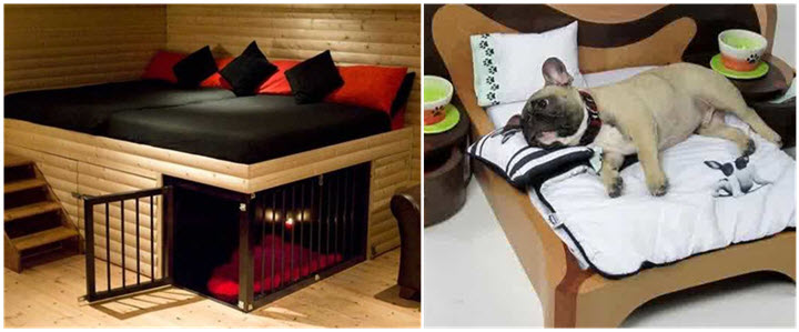 Pet Furniture