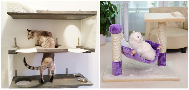 Pet Furniture