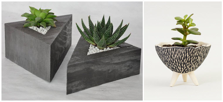 Succulent Planter Pots