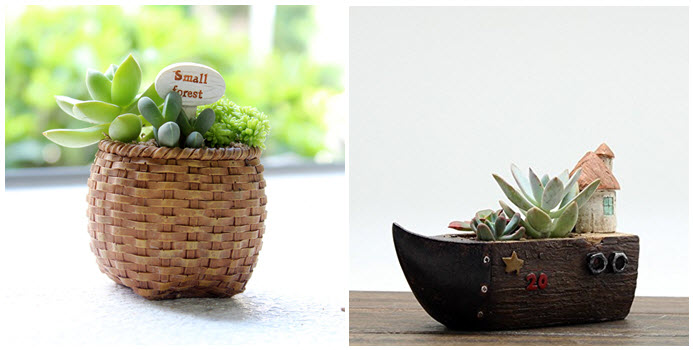 Succulent Planter Pots