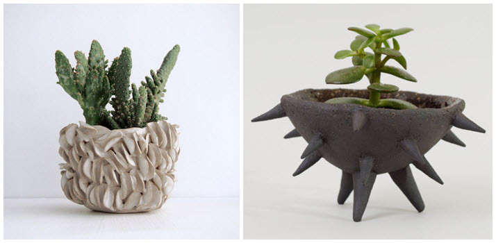 Succulent Planter Pots