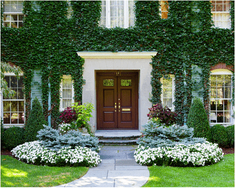 Attract Positive Energy to your Front Entrance
