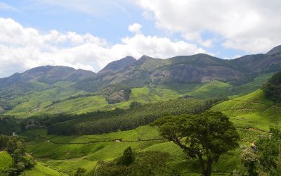 Enjoy the Beautiful Landscape of Wayanad from Lakkidi View Point