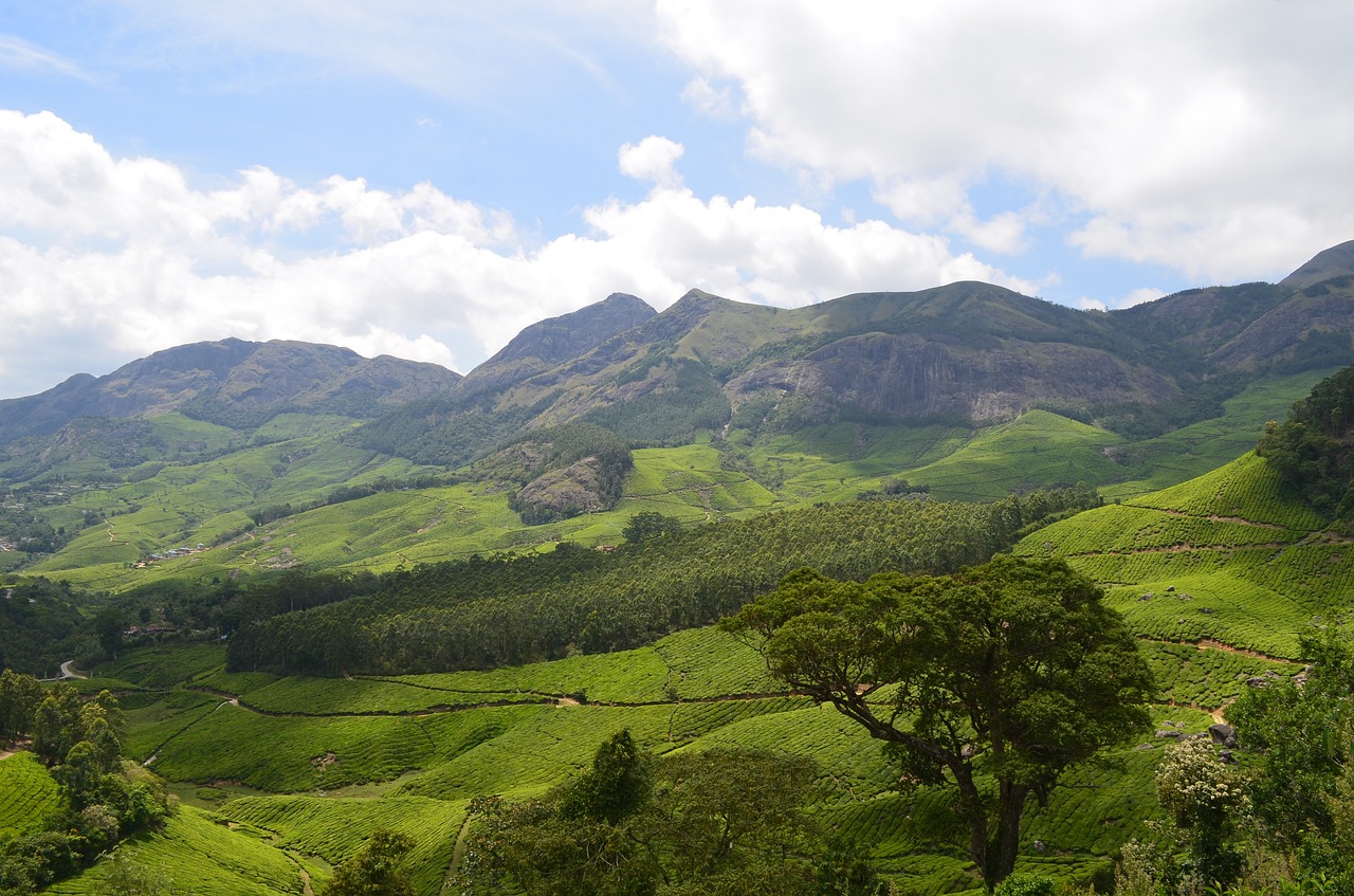 Enjoy the Beautiful Landscape of Wayanad from Lakkidi View Point