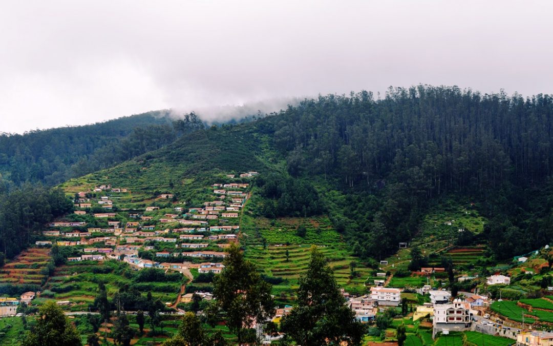 travel in ooty