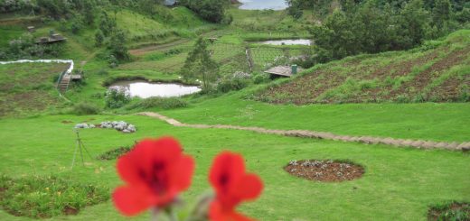 Stay at Destiny Farm Resort by Little Earth