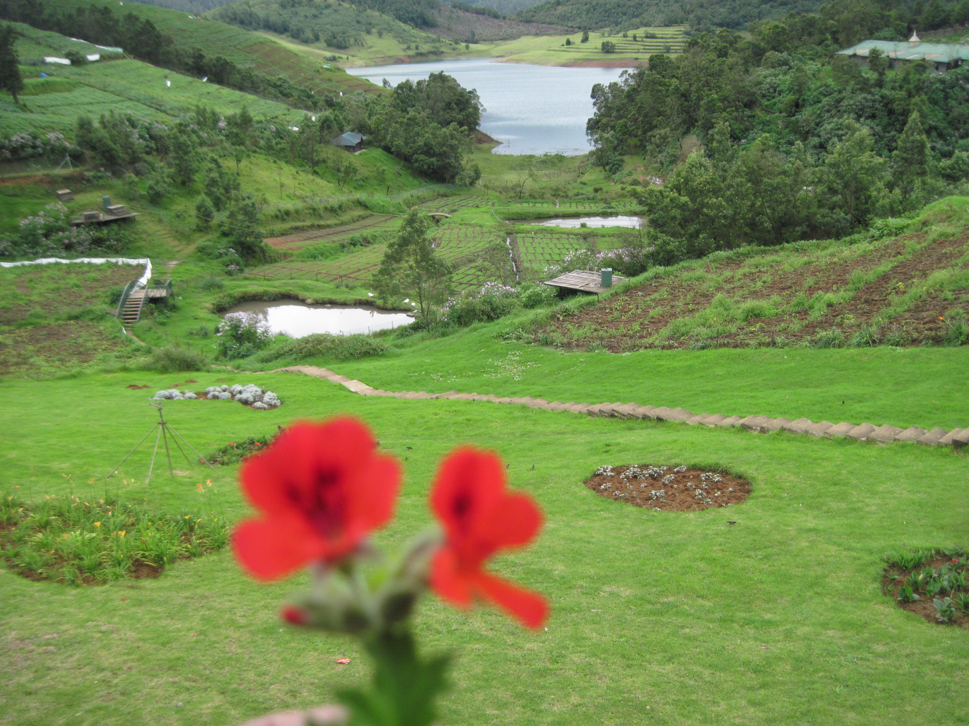 Stay at Destiny Farm Resort by Little Earth