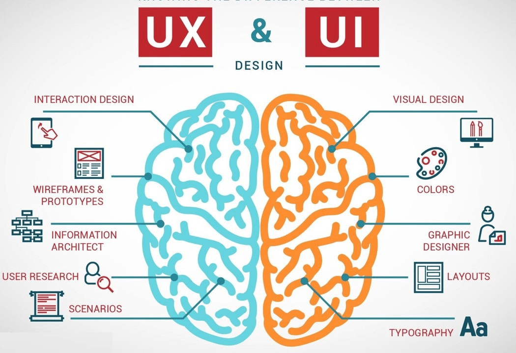 UX/UI Designer