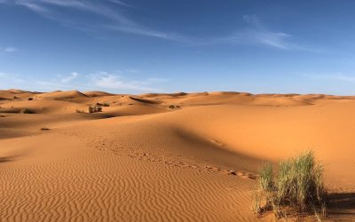 Is Sahara Desert Safe to Travel