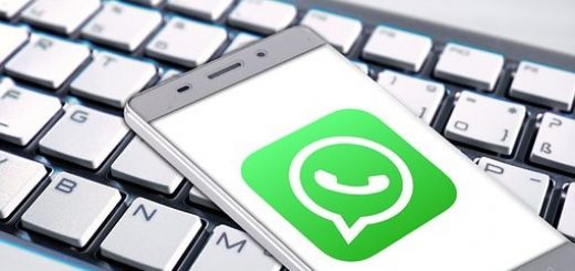 Use WhatsApp API Send Message Service to Connect with Customers