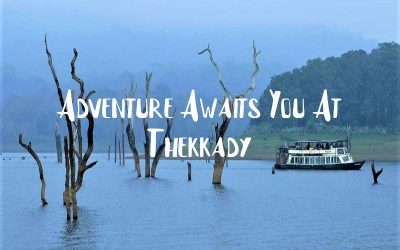 7 Reason Why Thekkady is for Adventure Seekers