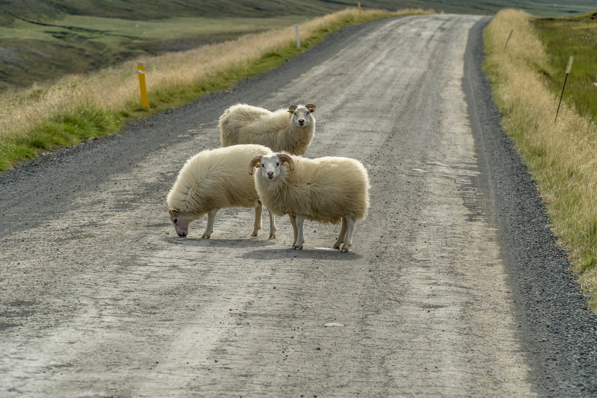 Iceland Self Drive Tour