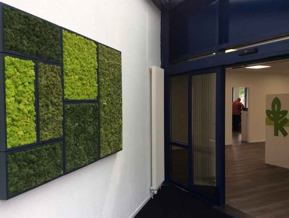 Nature at your Space with BioMontage Walls