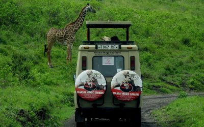 Planning An African Safari – Things To Keep In Mind