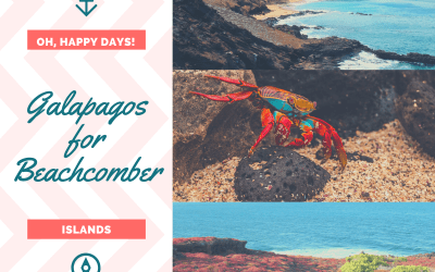 A Beachcomber! Then Galapagos is for You