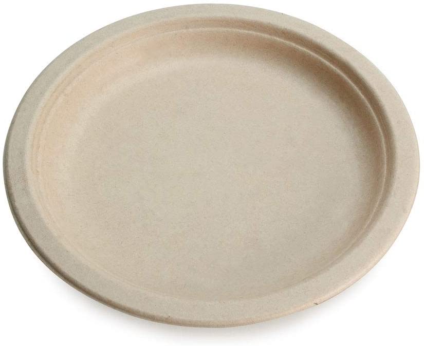 Eco Dinner Plates