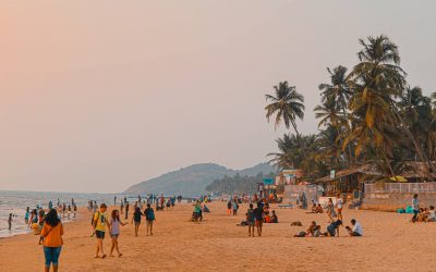 Get Hold of Your Favorite Goa Souvenirs