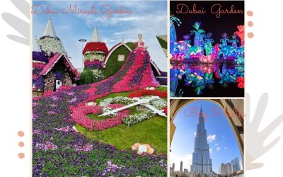 Best Things To Do in Dubai with Kids