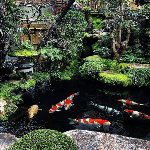 Zen Rooftop Garden