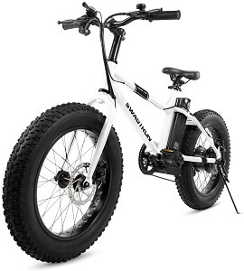 Electric bike for camping
