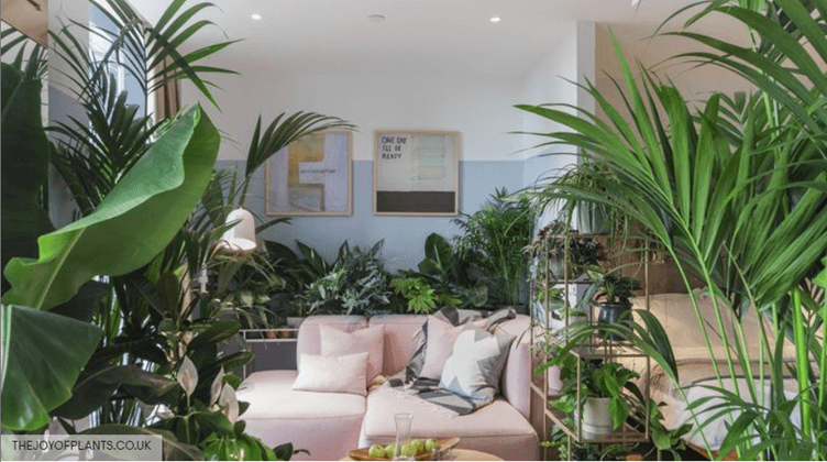 Biophilic Interior Design Hotel Suite