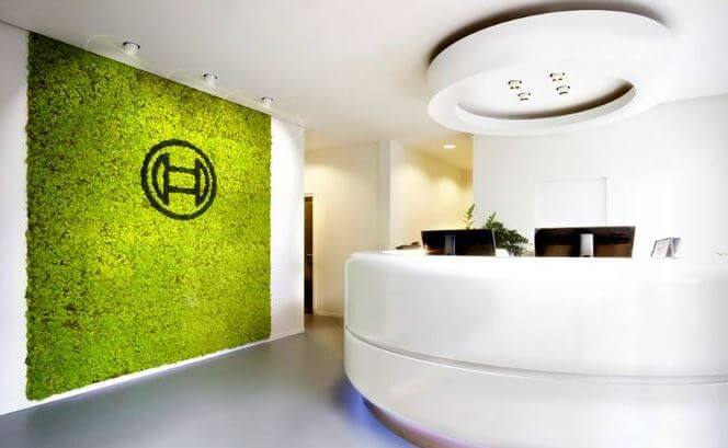 Biophilia Interior Design