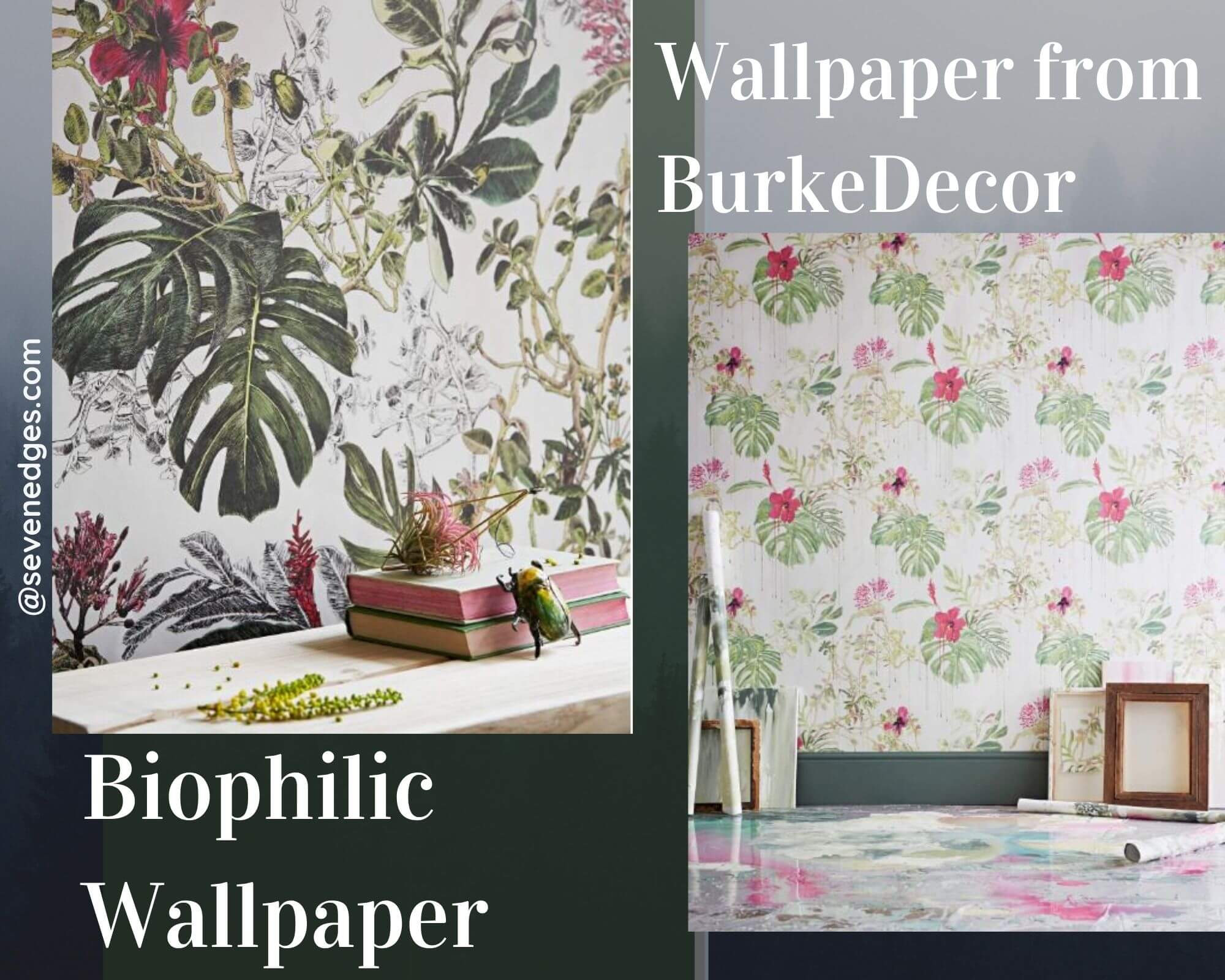 Biophilic Design – Biophilic Wallpapers and Trends - Sevenedges