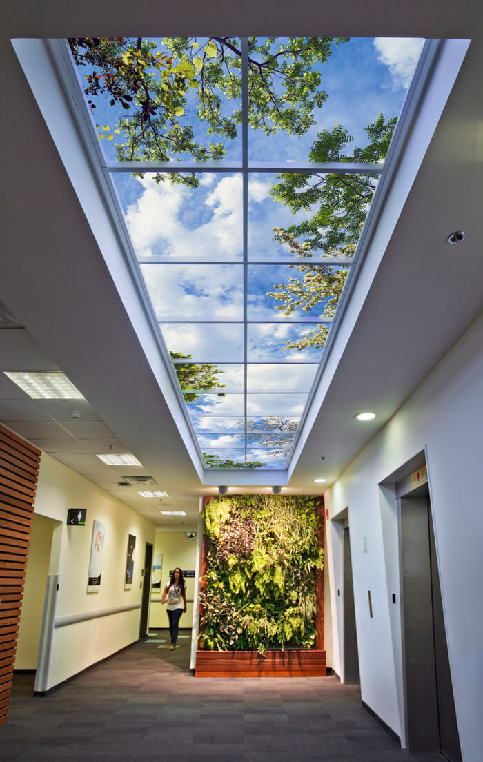 Biophilic design Office