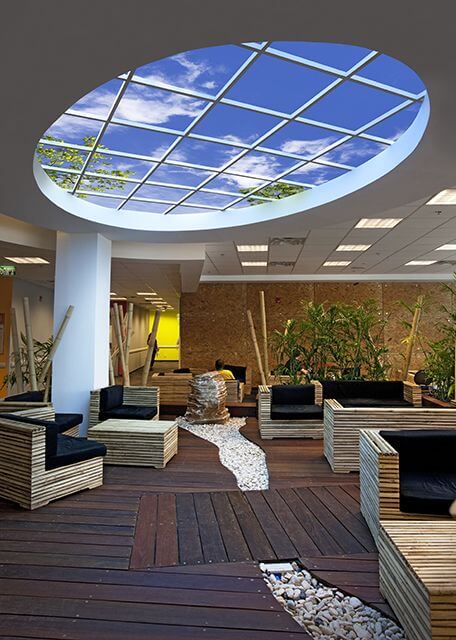 Biophilic Design Example