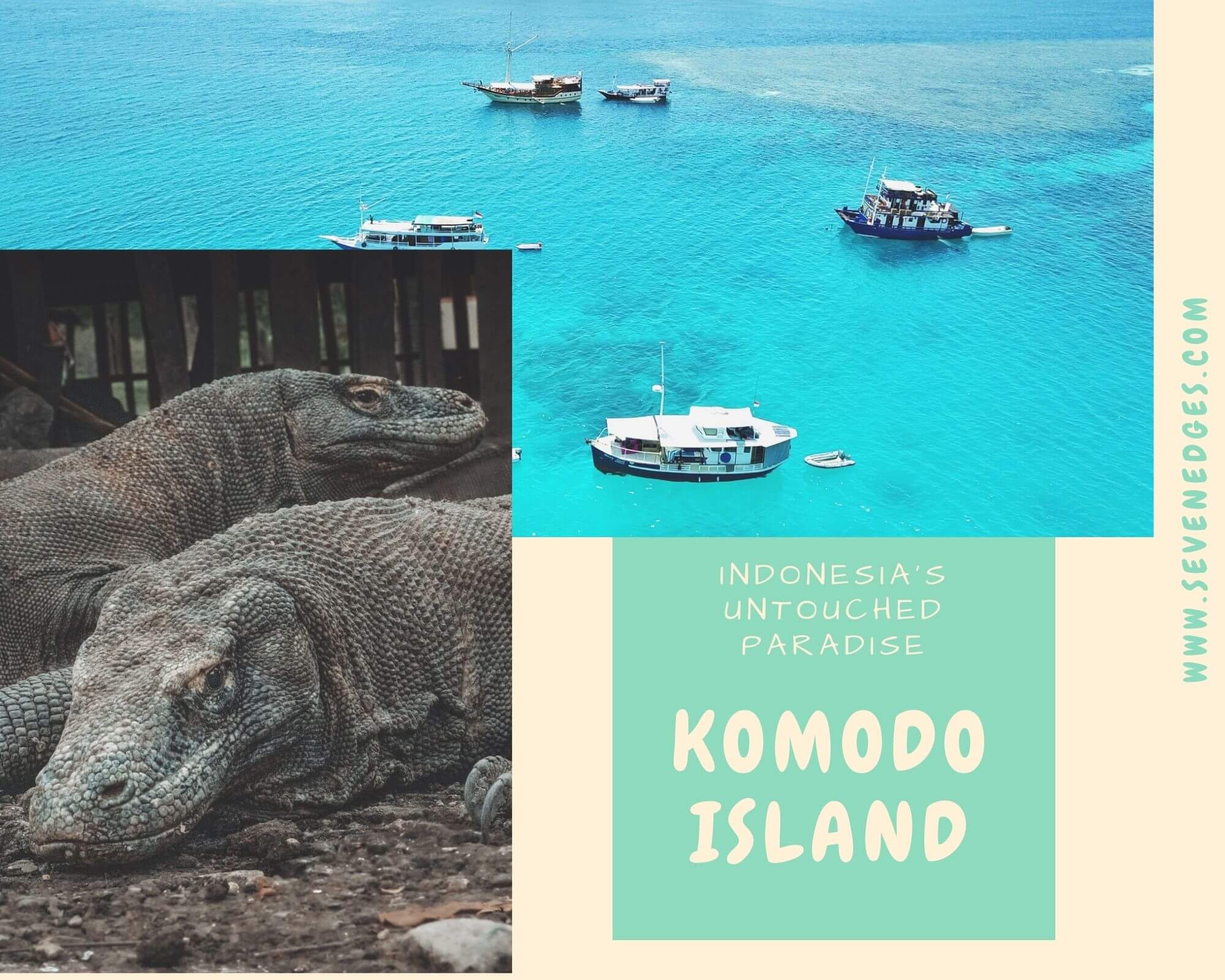 Komodo Dragon