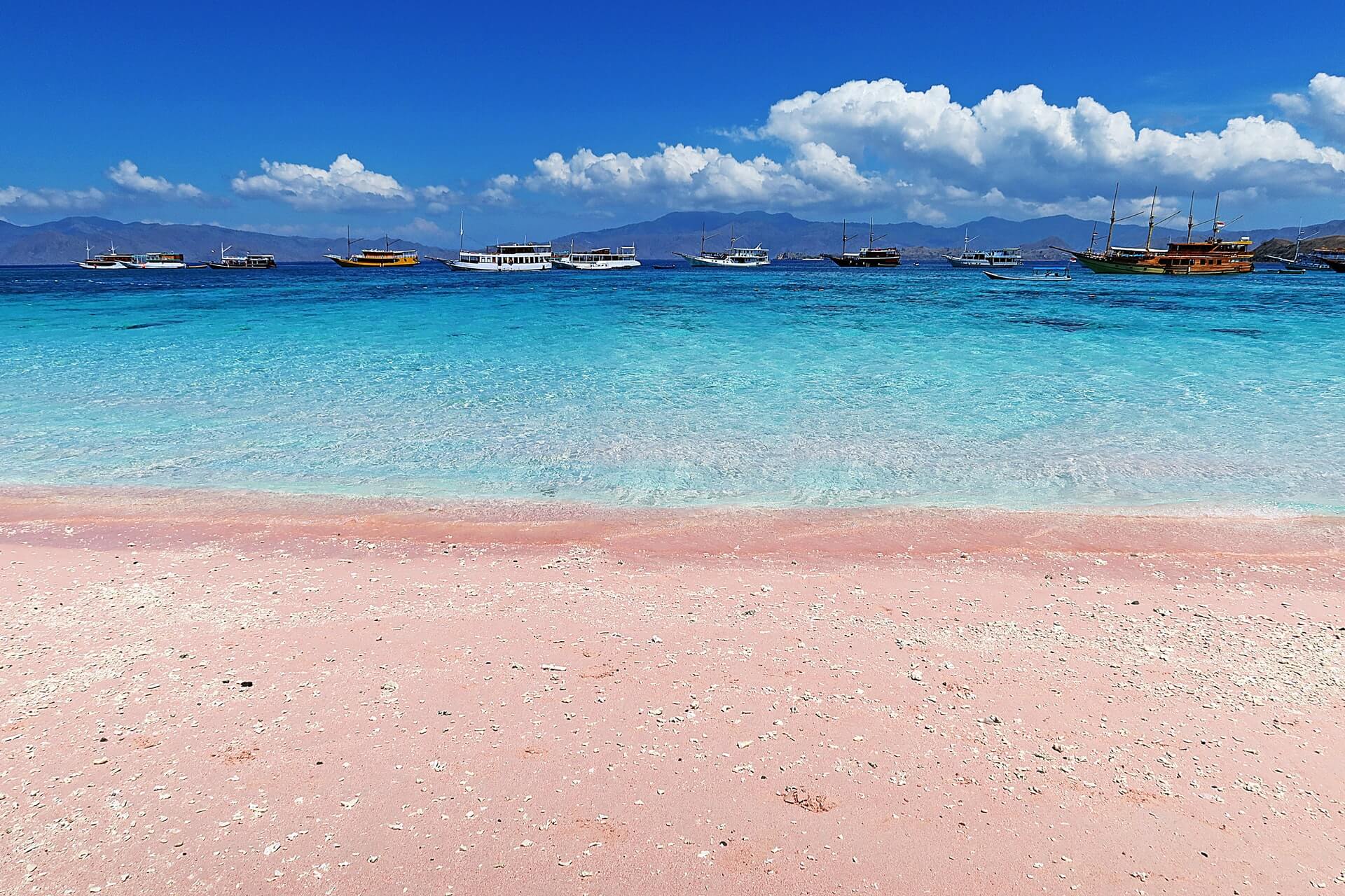 Komodo Pink Beach