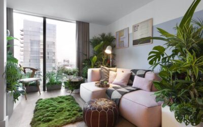 Biophilic Room – Inviting Nature to Live with You