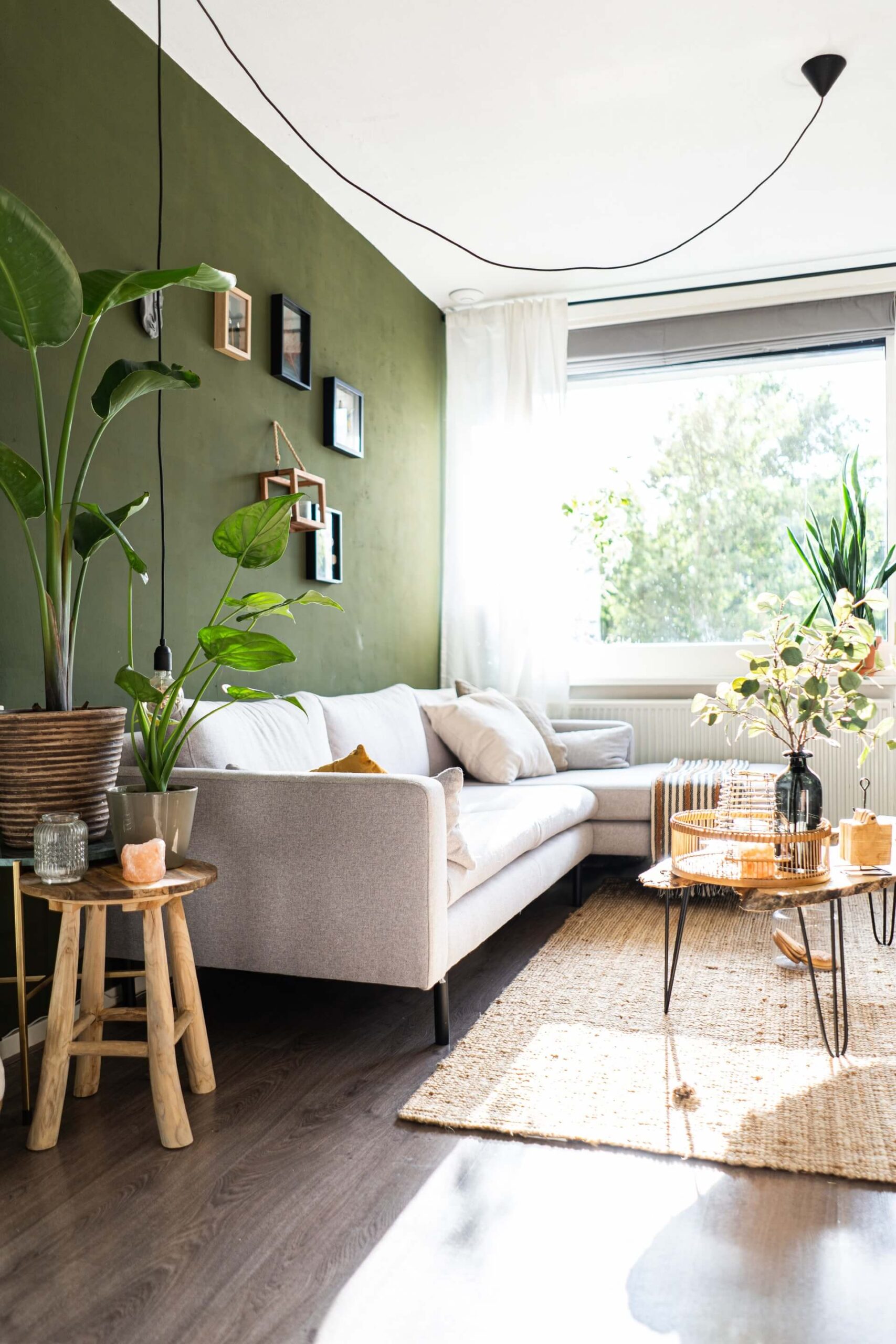 Sustainable home decor ideas 