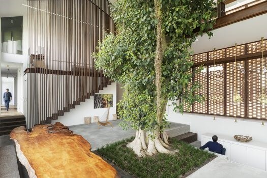 Biophilic Home Design